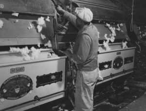 Home the significance of the cotton gin and its impact on enslavement